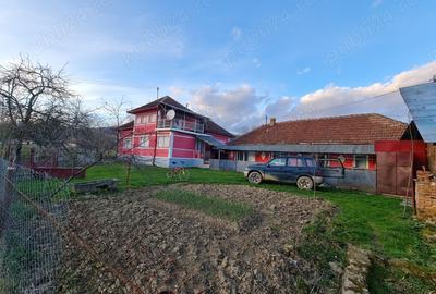 Casa de vanzare in inima naturii sat Dobrot, jude?ul Hunedoara Casa de vanzare in inima naturii sat Dobrot, jude?ul Hunedoara - 3