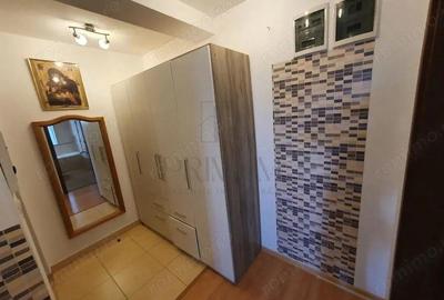 Apartament cu 2 camere semidecomandat în Aradului - 8