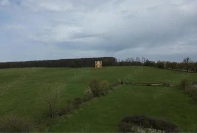 Teren de 5800 mp, în Mitocași - 6