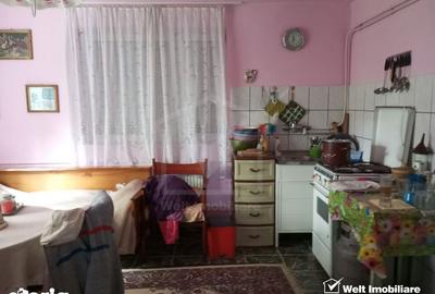 Casă cu 3 camere cu Teren 3320 Mp în Căpușu Mare - 2