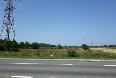 Teren agricol intravilan de 3931 mp, în Valea Mare - 1