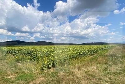 De vanzare teren arabil - 4,58 ha, Moacsa, Covasna - 3