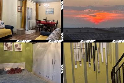 Casă cu Teren 232 Mp în Balciu - 4