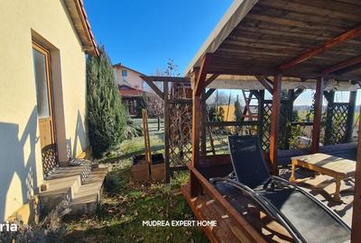 Casă cu 4 camere în Tamași - 9