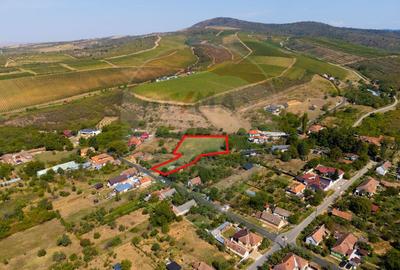 Mini?- destina?ia ideala pentru o resedin?a de lux ?... - 3