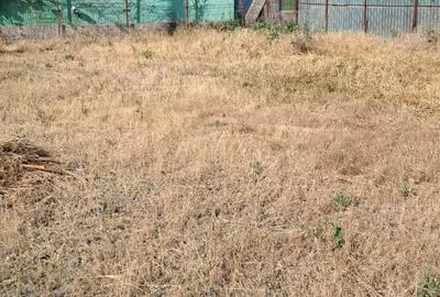 Bratianu..teren 305 metri cu descghidere dubla de 17 metri - 5