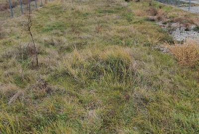 Spațiu comercial, în Livezile - 4