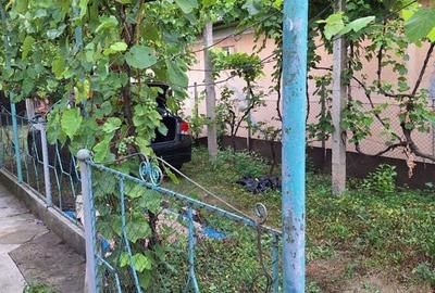 Vand casa cu teren comuna Mihai Viteazu - 5