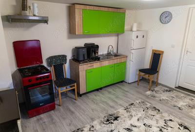 Casa de vanzare in Bozed, judetul Mures, renovata, cu sura si teren cu livada - 6