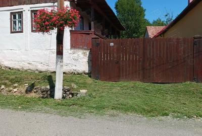 Casă în Aluniș - 4