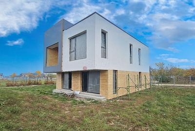 Zona Linistita - 7