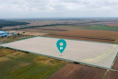 Teren extravilan 5 hectare ( zonă industrială ) Șag - 11