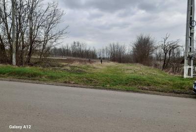 Spațiu comercial, în Rădăuți-Prut - 4