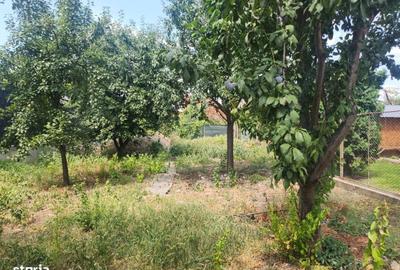 Casă cu 3 camere în Central - 4