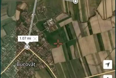 Teren de 23200 mp, în Bucovăț (Remetea Mare)
