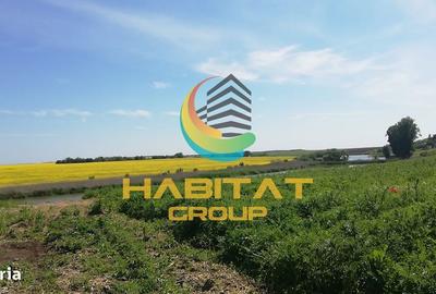 Teren de 400 mp, în Frumușani