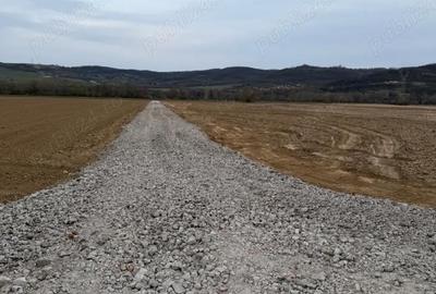 Teren de 1350 mp, în Tâmpa - 5