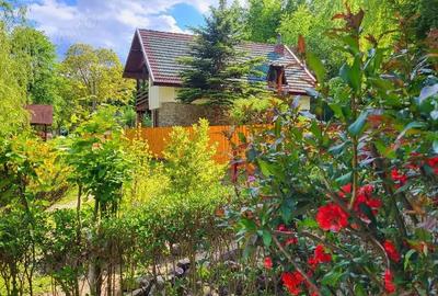 Casă cu Teren 4866 Mp în Central - 9