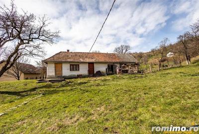FILM! Pe 6.500mp teren + casa parinteasca, incantatoare pozitionare, acces facil - 12