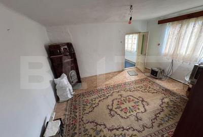 Casa solida din caramida cu teren generos Gura Ocnit - 3