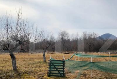 Teren în Central - 3