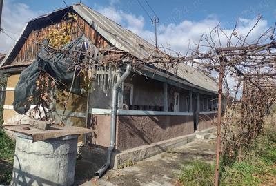 Casa de vanzare cu teren de 10 arii - 2