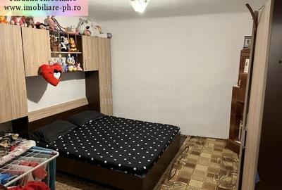 Tihuana Imobiliare:casa de vanzare-Buna Vestire - 16