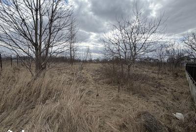 Teren de 700 mp, în Șerbănești