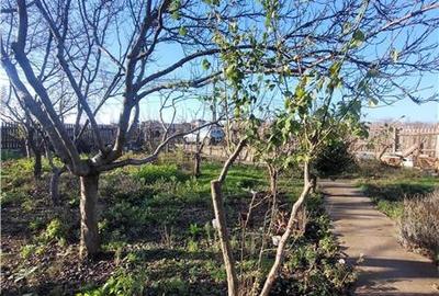 Casă individuală cu 4 camere cu Teren 2500 Mp în Lazu - 15