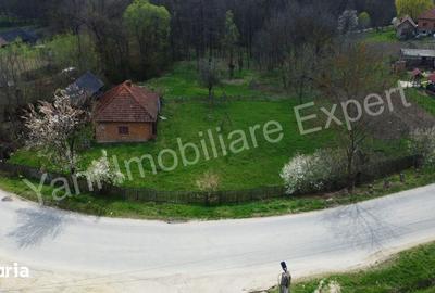 Casă cu 2 camere cu Teren 5800 Mp în Valea Danului - 9