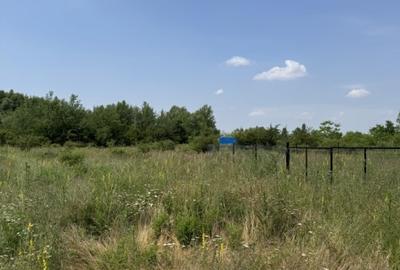 Domnesti, strada Salciei, teren intravilan 500?mp x 2 loturi - 3