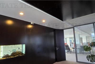 Spațiu comercial, de 367 mp, în Timpuri Noi - 12