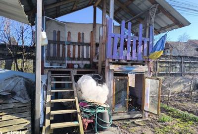 Casă cu 2 camere în Sânnicoară - 15