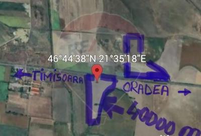 Teren de 80500 mp, în Ciumeghiu - 1