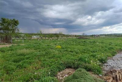 RECO Teren intravilan, Alparea - 2