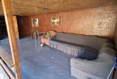 Casă individuală cu 5 camere cu Canalizare în Alexandriei - 13