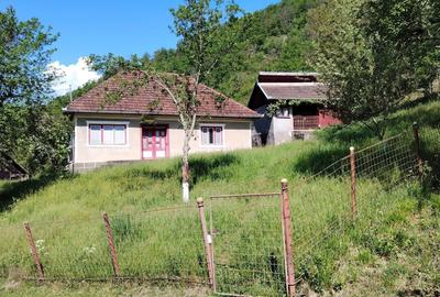 Casă cu 2 camere în Ormindea - 5