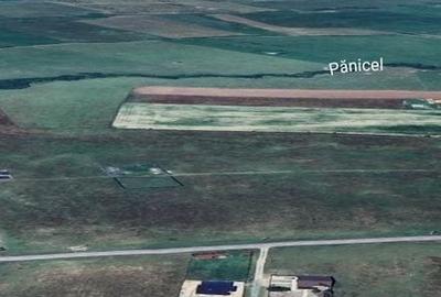 Rasnov -Glejarie 1000 mp front 42m posibilitate duplex sau 2 constructii - 14