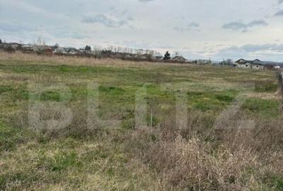 Teren intravilan cu toate utilitatile disponibile Dragomires - 8