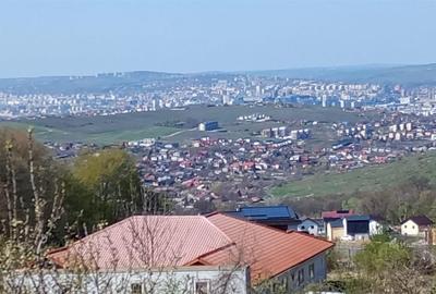 Pietrarie Vila P+1 s=164mp garaj beci teren 2000mp livada vie zona verde - 3