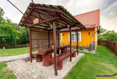 FILM 3D! Doua case cu:piscina,foisor,arbori decorativi,1.700mp teren,Lutoasa,Covasna - 18