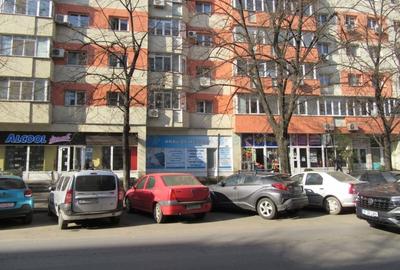 Inchiriere Spatiu Comercial Teiul Doamnei - 10
