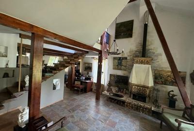 Vila de poveste 5 camere zona Bolintin Vale, judetul Giurgiu - 20