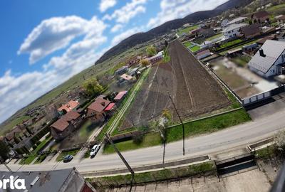 Teren de 10262 mp, în Albești - 3