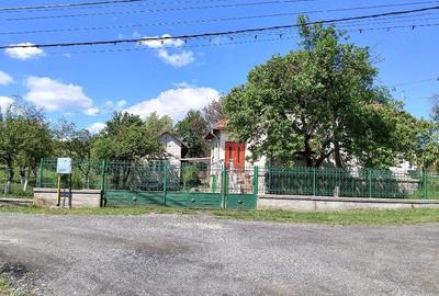 Casă cu Teren 5000 Mp în Central - 1