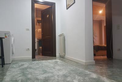 Apartament doua camere, decomandat, mobilat si utilat frumos, Parcul Catedralei - 3