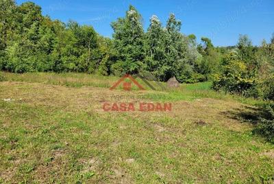 Teren intravilan in Poiana Campina 4285 mp parcelabil 11,6e - 13