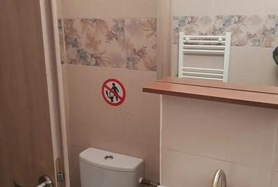 Apartament cu 2 camere decomandat în Precista - 3