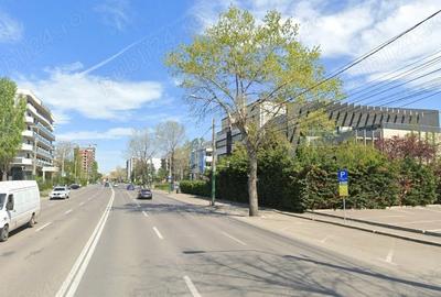 Teren de 8665 mp, în Mamaia - 3