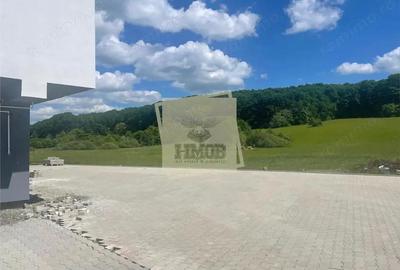 Casa 4 camere 2 bai balcon si gradina in Rasinari - 8